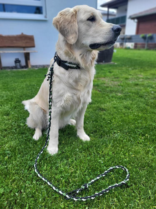 Paracord Leine „Arlo“
