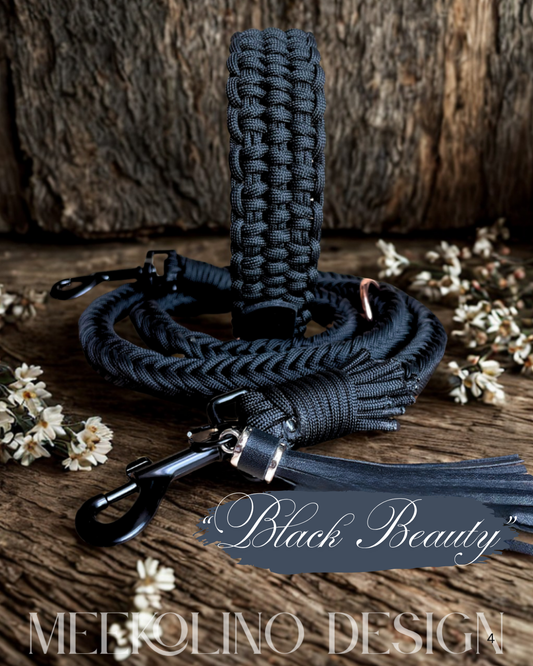 Paracord Set Halsband und Leine „Black Beauty“