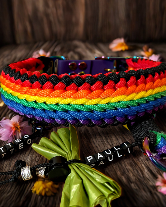Paracord Halsband „Happy Rainbow“