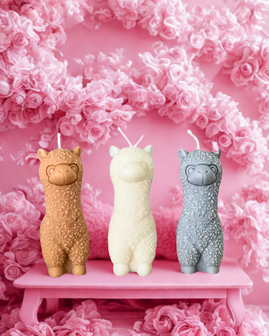 Kerze „Alpaka & Schaf“