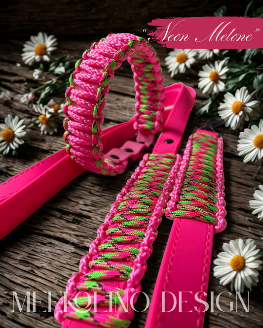 Biothane meets Paracord „Neon Melone“
